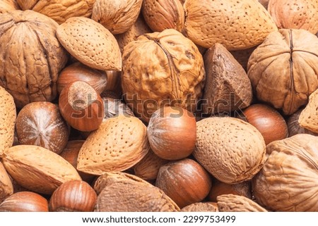 Mixed nut basket that contains walnuts, hazelnuts, almonds, and Brazil nuts. Different kinds of nuts Royalty-Free Stock Photo #2299753499