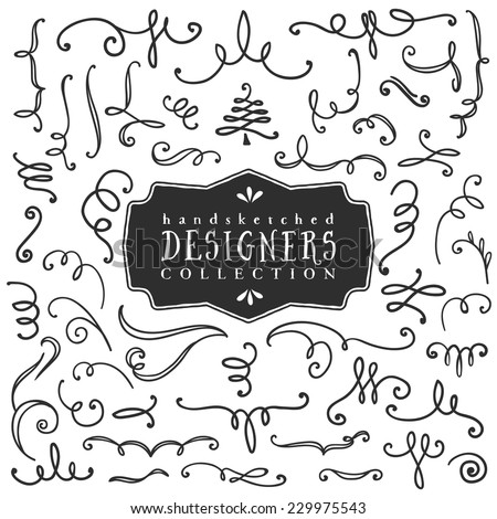 Decorative curls and swirls. Designers collection. Hand drawn illustration. Design elements.
