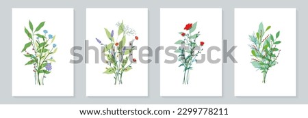 Creative minimalist Abstract art wild flowers, leaves, branch, bouquet. Hand Drawn doodle Scribble floral plants. Abstract leaf. wild flowers isolated on white