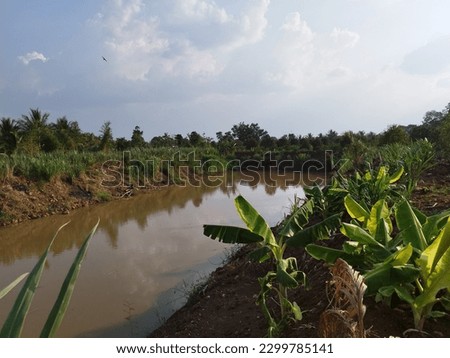 An artificial pond made by a farmer to catch rainwater which is used to irrigate his coffee farm, with riparian buffer and native vegetation, in Buon Ma Thuot, Vietnam Royalty-Free Stock Photo #2299785141