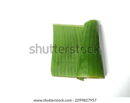 green  leaf editable for any content