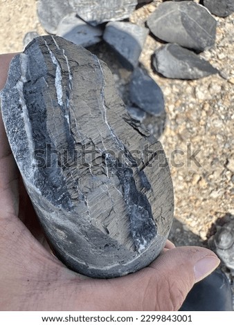 Foliated metamorphic rock - Phyllite, sheen can be observed on the foliated surface with small veins of quartz Royalty-Free Stock Photo #2299843001