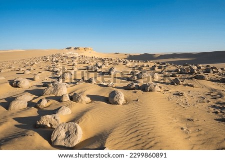 Landscape scenic view of desolate barren western desert in Egypt with geological watermelon chert nodules rock drunka formations in wadi el battikh
