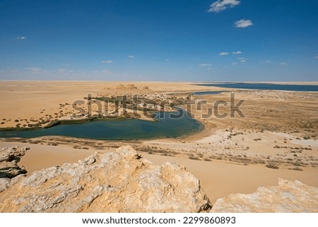 Panoramic aerial view over remote african egyptian desert landscape valley with oasis salt lake and pools Royalty-Free Stock Photo #2299860893