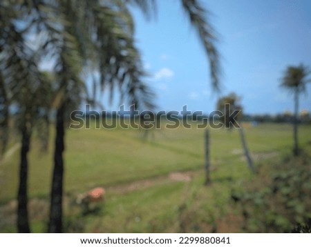 Natural Scenery and Background Picture . Background picture. Natural and Sky Picture. Blur Background.  Village Background. 