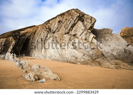Incredible rock formations, stones and boulders. Adorable sea gull. Cantabria, Spain. The Playa de la Arnia beach. Picturesque coastal cliffs.  Royalty-Free Stock Photo #2299883429
