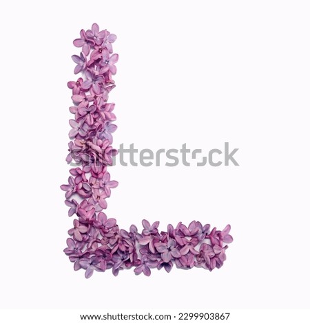 The letter L made of lilac flowers.  Square photo with white background.