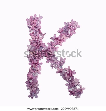 The letter K made of lilac flowers.  Square photo with white background.