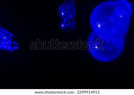 Light bulbs reflections on the blue light...dark background...