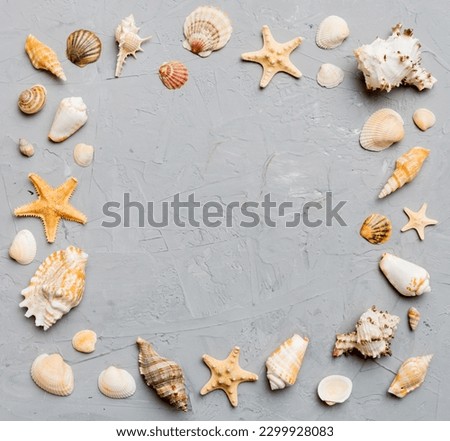 Summer time concept on colored background. Seashells from ocean shore in the shape of frame separated with space for text top view.