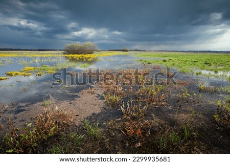 Dark rainy clouds over a wild wet meadow, Czulczyce, eastern Poland