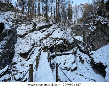 Snowy winter idyll in the canyon of the river Thur (die Schlucht des Flusses Thur) in the Unterwasser settlement and the Obertoggenburg region - Canton of St. Gallen, Switzerland (Schweiz)