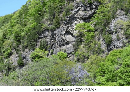 Rocks and formations of the escarpment
