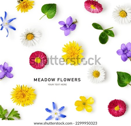 Meadow flower creative layout. Daisy, cardamine, dandelion and viola flowers with leaves isolated on white background. Wild flowers set. Design element. Springtime and summer concept. Flat lay 
 Royalty-Free Stock Photo #2299950323