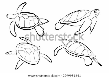 Set elements. Vector illustration of sea turtle on white background. Perfect for invitations, greeting cards, postcard, fashion print, banners, poster for textiles, fashion design.
