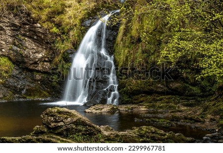 Mountain waterfall in the forest. Waterfall in forest. Forest waterfall. Mountain forest waterfall