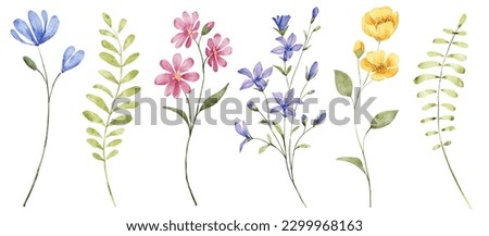 Flowers, summer design, watercolor hand painting. Perfectly for printing, sublimation. Digital illustration.