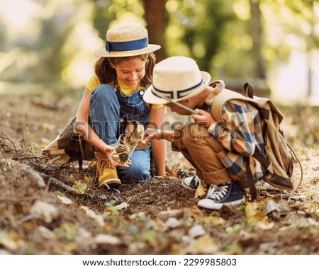 Two little children boy and girl with backpacks looking examine plants and collect herbarium in a glass jar while exploring forest nature and environment during outdoor ecology school lesson
 Royalty-Free Stock Photo #2299985803
