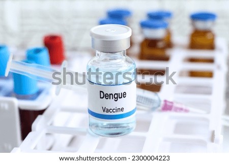 Dengue vaccine in a vial, immunization and treatment of infection, vaccine used for disease prevention Royalty-Free Stock Photo #2300004223