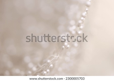 Details of the bride dress fabric and beautiful embroidery wedding concept used as a background for illustrations and text. Royalty-Free Stock Photo #2300005703