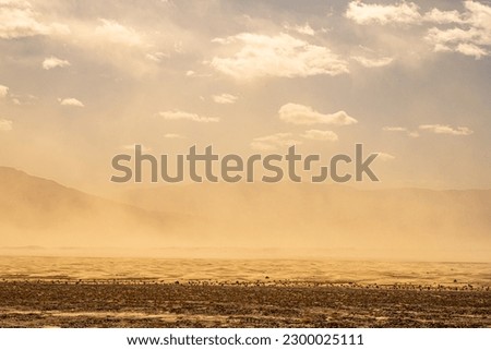 Sand Storm Over The Dunes of Stovepipe Wells in Death Valley National Park Royalty-Free Stock Photo #2300025111