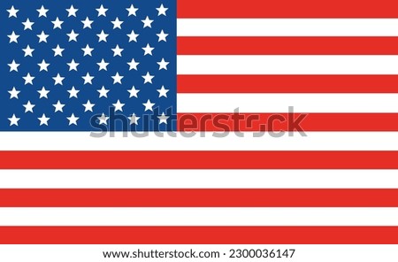 USA flag, United State of America flag isolated
