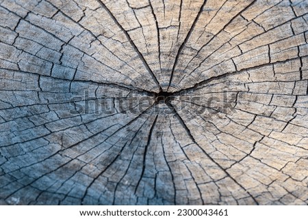 Old wooden texture for background that has natural.