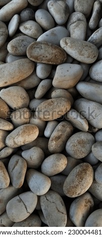 
river stone which is used as a decoration for the terrace of the house
