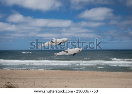 Two large inflatable dolphin kites floating in the air suspended by wires above the ocean waves. Beach animation for children.