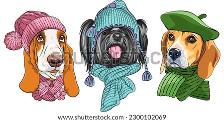 Set vector dogs in warm winter hat and scarf, Basset Hound, Skye Terrier and Beagle breed