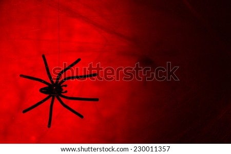 Cobweb with spider on colorful background