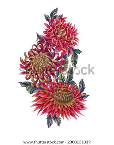 Bouquet with chrysanthemum isolated. Vector