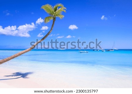 Tropical paradise, idyllic caribbean beach with sailboats, Punta Cana, Dominican Republic Royalty-Free Stock Photo #2300135797