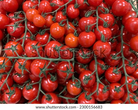 Red cherry tomatoes on green branches lie in the shop in bunches. The vegetables are fresh, juicy and appetising. Royalty-Free Stock Photo #2300156683