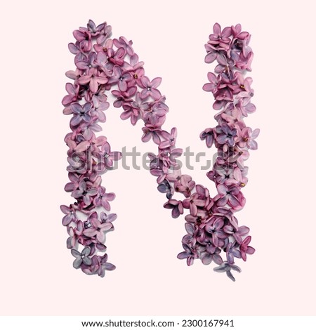 The letter N made of lilac flowers.  Square photo with white background.