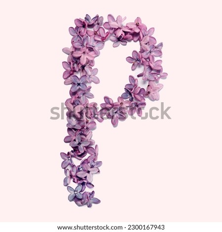 The letter P made of lilac flowers.  Square photo with white background.