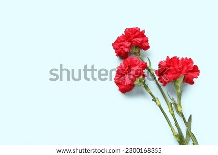 Red carnations on light blue background