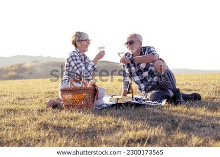 Charming senior couple enjoying a delightful picnic in the great outdoors. They are seen lounging comfortably on a checked blanket surrounded by a lush green landscape. The couple has a relaxed Royalty-Free Stock Photo #2300173565