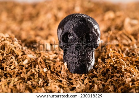 Little model of human skull surrounded by tobacco. Copy space. Quit smoking concept.