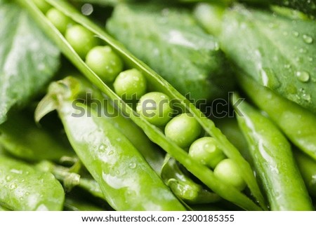 Pods of green peas with leaves and water drops. Fresh food background Royalty-Free Stock Photo #2300185355