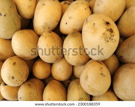 view of mango fruit kept well stocked for multipurpose use