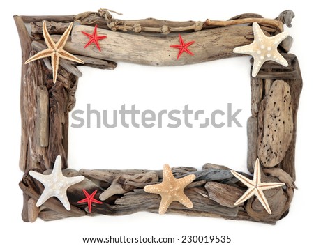 Starfish shells and driftwood forming an abstract frame over white background.