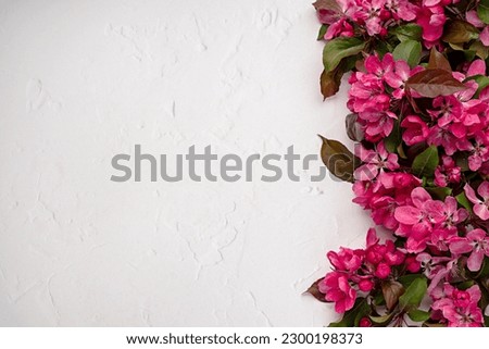 Blank photography of pink flowers, background, card, invitation, elegant, freshness, natural, bouquet, petals, exotic, green, leaf, blooming, branch
