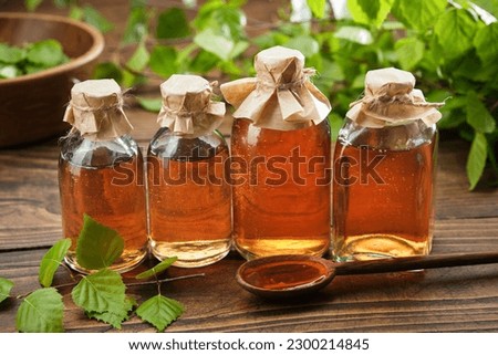 Bottles of birch essential oil, infusion or tincture. Birch syrup or coal tar oil bottles. Twigs of Birch tree with leaves. Alternative herbal medicine. Royalty-Free Stock Photo #2300214845