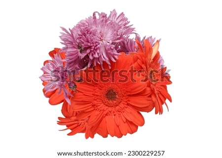 Bouquet of chrysanthemum and transvaal daisy isolated on a white background.