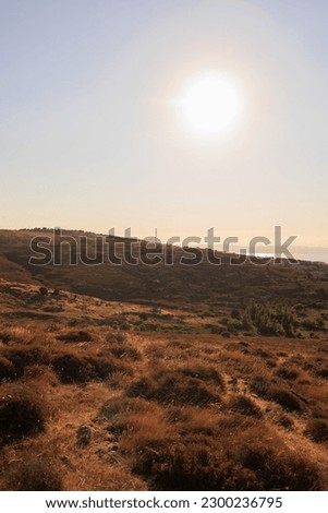 Summer landscape, top view of fields and trees, village and houses at sunrise or sunset