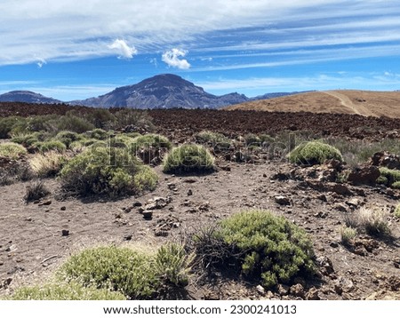 This photo captures a stunning scene of a field near a dormant volcano. The clear blue sky adds to the beauty of the scene, providing a stark contrast to the earthy tones of the sand and stones. 
