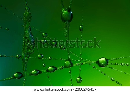 macro of water droplets on spider web,abstract,dynamic,decorative background,futuristic stylish patterns created by light and water in shades of green color,macro photography,flat lay