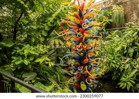 Fairchild Tropical Botanic Garden in Miami, Florida - Flowers, striking plants, and a thoughtful selection of trees surround the bespoke floor of Miami oolit Royalty-Free Stock Photo #2300259077