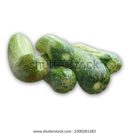 his stock photo features a whole, uncut green cucumber with its leaves still attached, presented on a simple white background.
